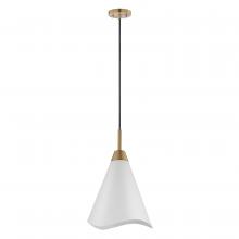 Nuvo 60/7474 - TANGO 1 LIGHT MEDIUM PENDANT