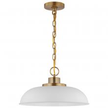 Nuvo 60/7480 - COLONY 1 LIGHT SMALL PENDANT