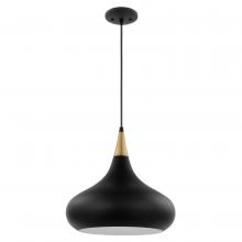 Nuvo 60/7513 - PHOENIX 1 LIGHT MEDIUM PENDANT