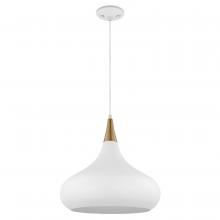 Nuvo 60/7515 - PHOENIX 1 LIGHT MEDIUM PENDANT