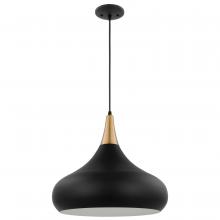 Nuvo 60/7517 - PHOENIX 1 LIGHT LARGE PENDANT