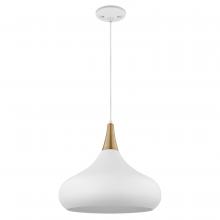 Nuvo 60/7518 - PHOENIX 1 LIGHT LARGE PENDANT