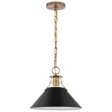 Nuvo 60/7523 - OUTPOST 1 LIGHT MEDIUM PENDANT