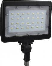 Nuvo 65/537 - LED 50W LARGE FLOOD LIGHT