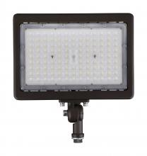 Nuvo 65/615 - 70W LED FLOOD LIGHT