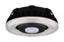 Nuvo 65/624 - 25W LED CANOPY LIGHT