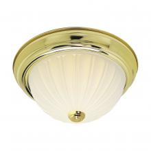 Nuvo SF76/124 - 2 LIGHT 11" FLUSH MOUNT