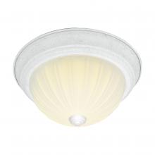 Nuvo SF76/127 - 2 LIGHT 13" FLUSH MOUNT