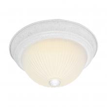 Nuvo SF76/131 - 2 LIGHT 11" FLUSH MOUNT