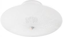 Nuvo SF76/269 - 2 LIGHT 12" CEILING FIXTURE