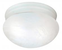 Nuvo SF76/613 - 2 LIGHT 10" FLUSH MOUNT