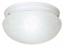 Nuvo SF76/614 - 2 LIGHT 12" FLUSH MOUNT