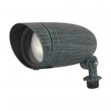 Nuvo SF76/656 - 1 LIGHT PAR20 LANDSCAPE FLOOD