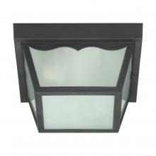 Nuvo SF77/891 - 2 LIGHT POLY CARPORT FLUSH