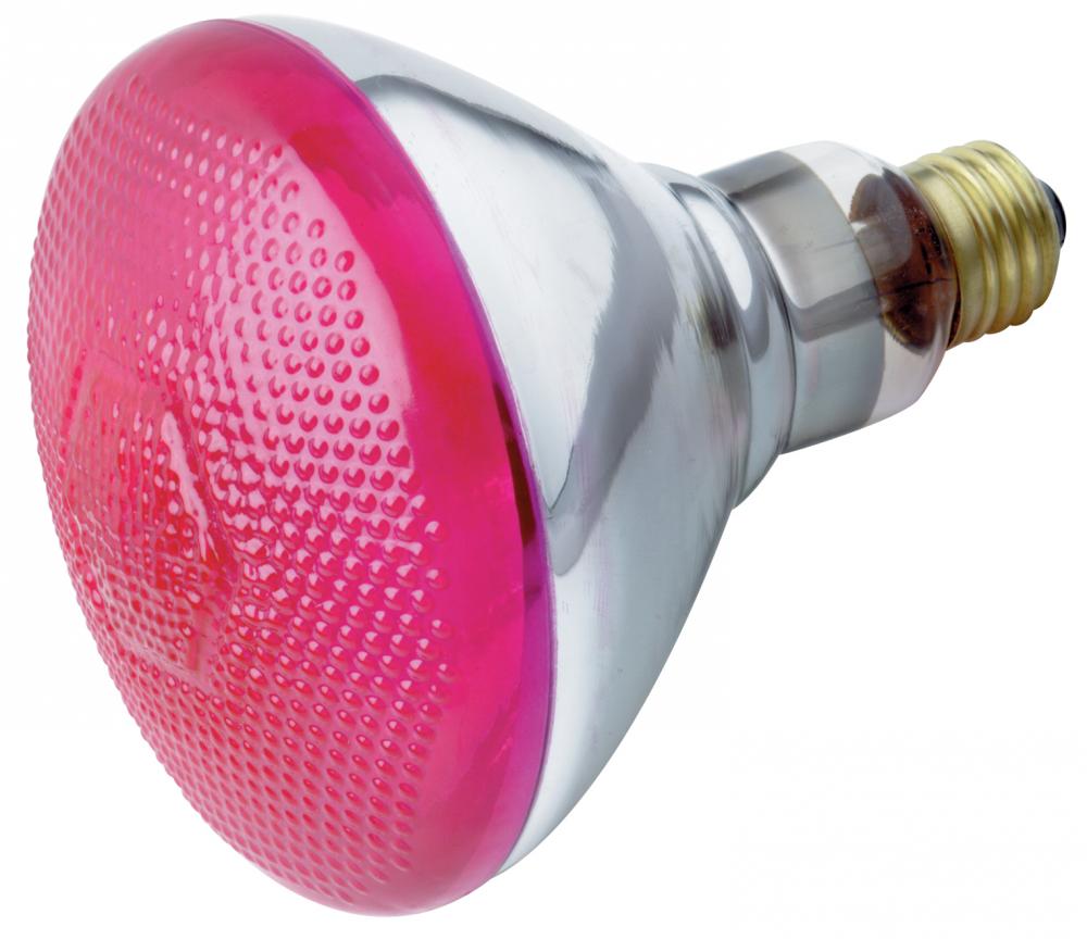 230 VOLT 100W BR-38 PINK E27<span class=' ItemWarning' style='display:block;'>Item is usually in stock, but we&#39;ll be in touch if there&#39;s a problem<br /></span>