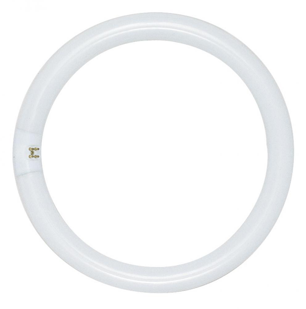 FC8T9/CW22 WATT COOL WHITE<span class=' ItemWarning' style='display:block;'>Item is usually in stock, but we&#39;ll be in touch if there&#39;s a problem<br /></span>