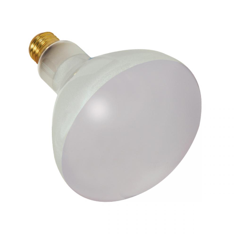 300BR40/FL/130V POOL LAMP<span class=' ItemWarning' style='display:block;'>Item is usually in stock, but we&#39;ll be in touch if there&#39;s a problem<br /></span>