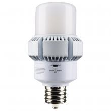 Satco S13165 - 45W/AP32/LED/CCT/100-277V/EX39