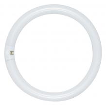 Satco S6500 - FC8T9/CW22 WATT COOL WHITE