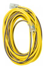 Southwire 26480064 - EXTCORD, 10/3 SJTW 50' COOL BLU/RD LE S+