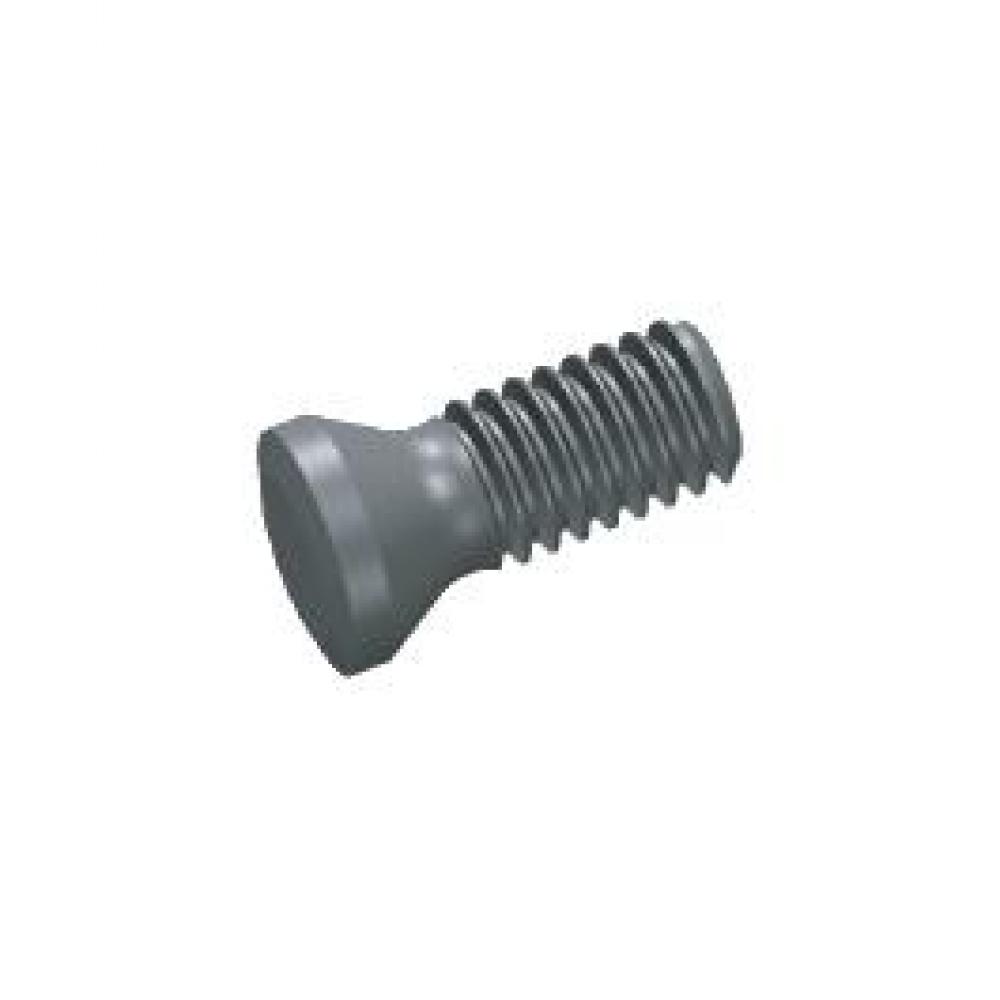 LOCKSCREW M4X0.7 SCREW TURNING/BORING T15 TORX<span class=' ItemWarning' style='display:block;'>Item is usually in stock, but we&#39;ll be in touch if there&#39;s a problem<br /></span>