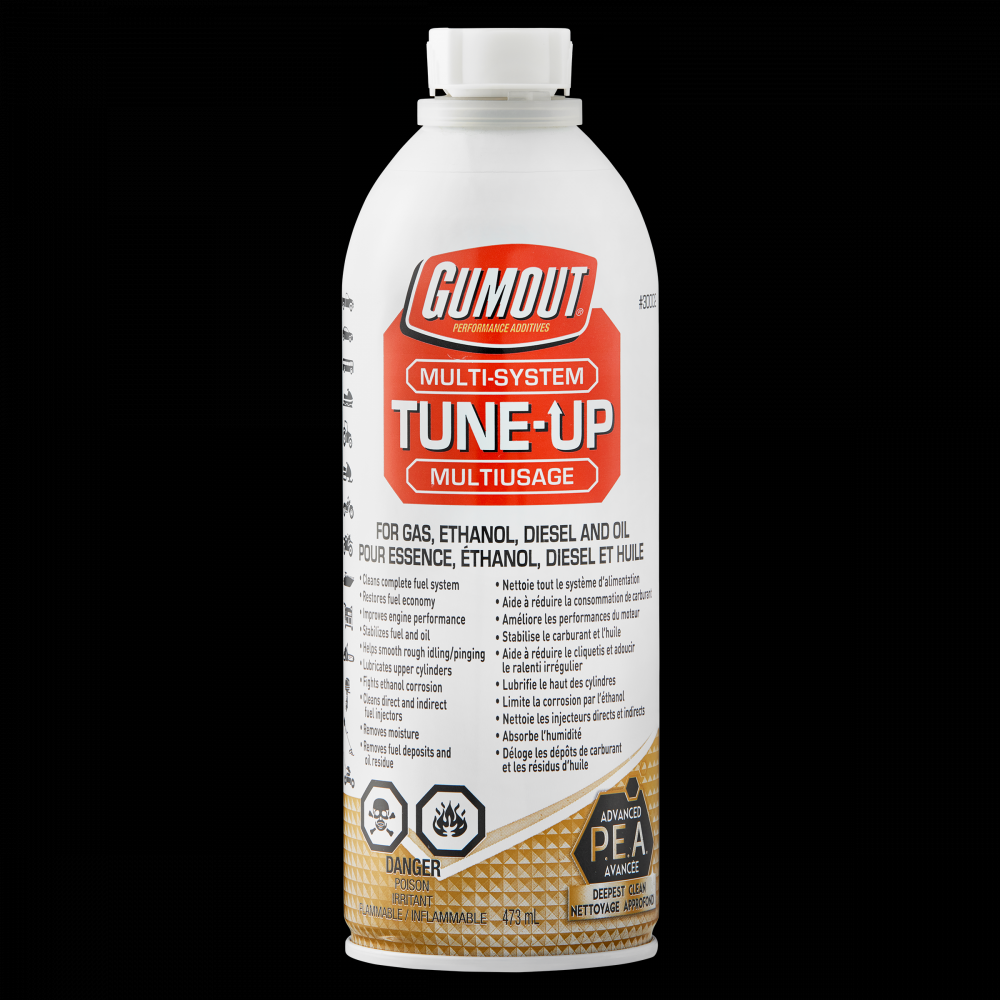 Gumout® Multi-System Tune-up, 473mL Bottle<span class=' ItemWarning' style='display:block;'>Item is usually in stock, but we&#39;ll be in touch if there&#39;s a problem<br /></span>