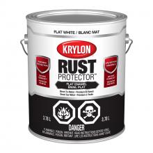 Krylon 469409008 - Flat White