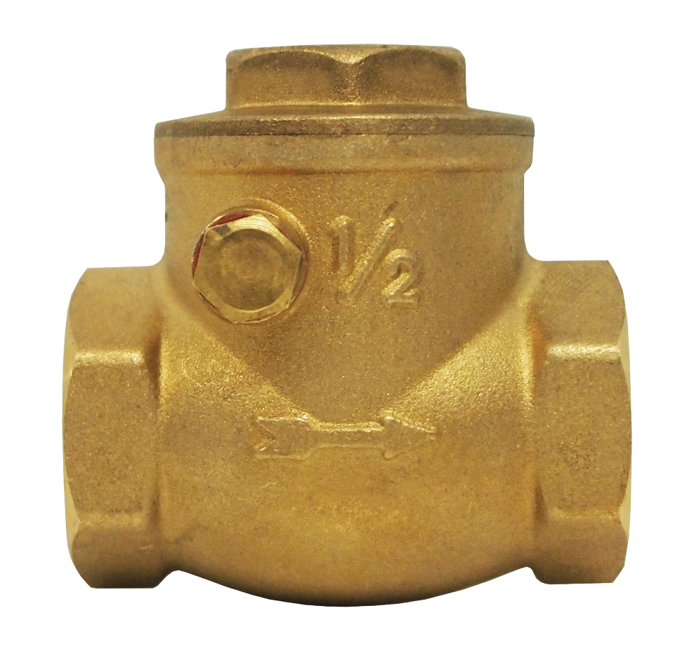 SWING CHECK VALVE<span class=' ItemWarning' style='display:block;'>Item is usually in stock, but we&#39;ll be in touch if there&#39;s a problem<br /></span>