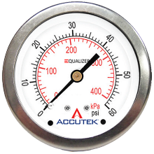 Fairview Ltd PG-160ZRCD25 - 1/4 NPT BRASS BACK MOUNT STAINLESS STEEL EQUALIZER GAUGE