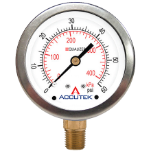 Fairview Ltd PG-1500ZRSD25 - 1/4 NPT BRASS STEM MOUNT STAINLESS STEEL EQUALIZER GAUGE