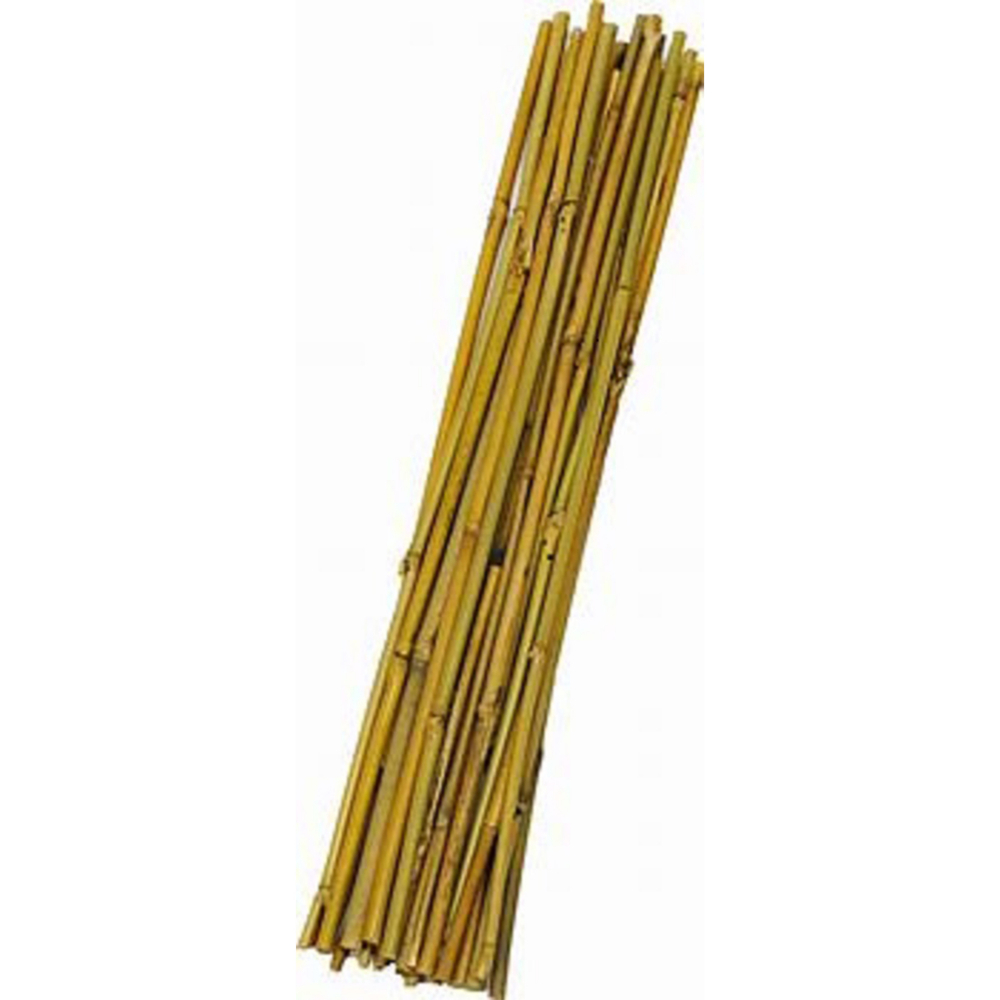 Bamboo Garden Stake 1/4 x 48in 15PC<span class=' ItemWarning' style='display:block;'>Item is usually in stock, but we&#39;ll be in touch if there&#39;s a problem<br /></span>