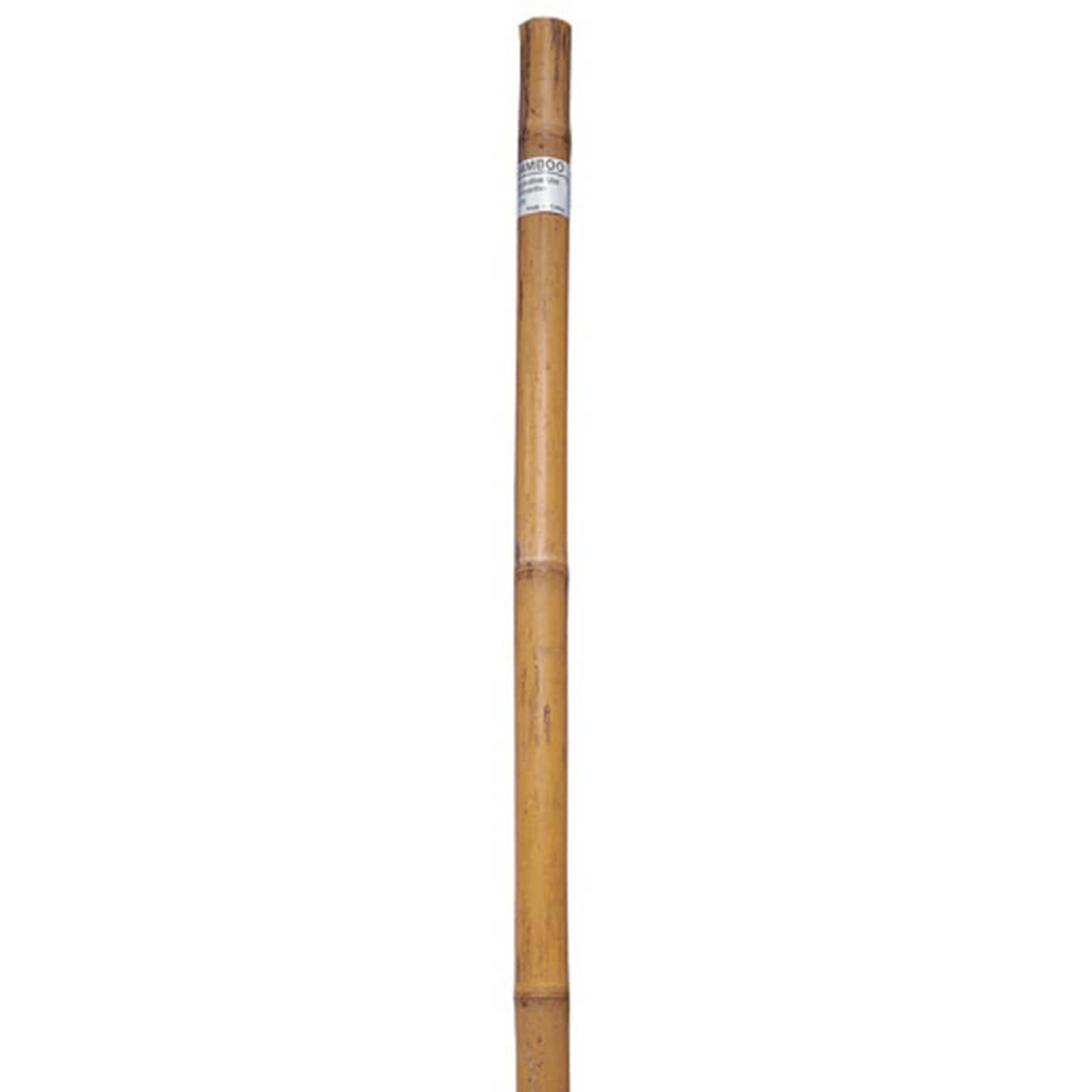 Bamboo Garden Stake 1/2 x 72in 6PC<span class=' ItemWarning' style='display:block;'>Item is usually in stock, but we&#39;ll be in touch if there&#39;s a problem<br /></span>