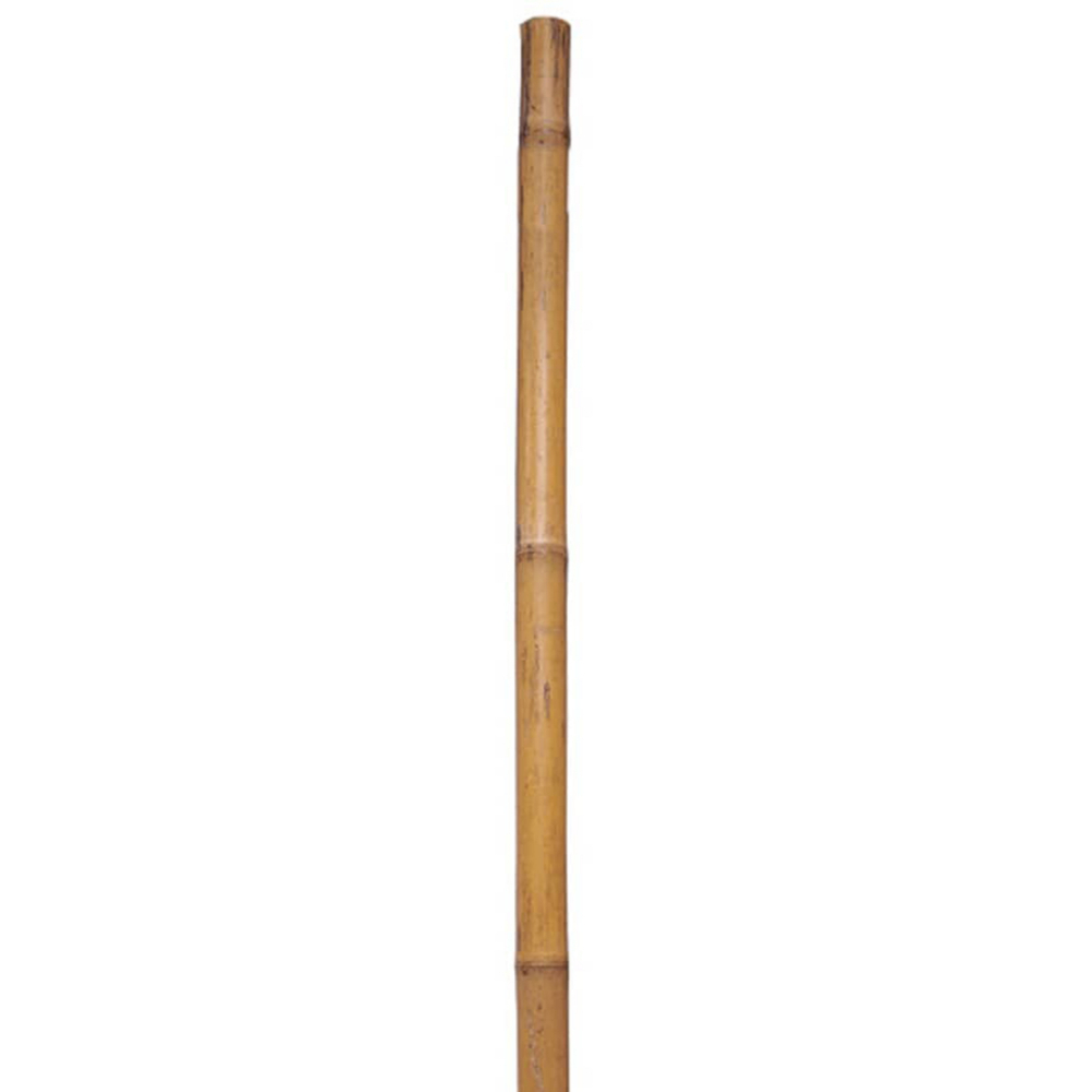 Bamboo Garden Pole 1/2 x 72in<span class=' ItemWarning' style='display:block;'>Item is usually in stock, but we&#39;ll be in touch if there&#39;s a problem<br /></span>