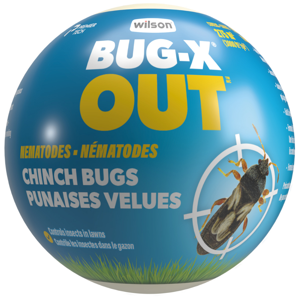 Bug-X Chinch Bugs Nematodes<span class=' ItemWarning' style='display:block;'>Item is usually in stock, but we&#39;ll be in touch if there&#39;s a problem<br /></span>