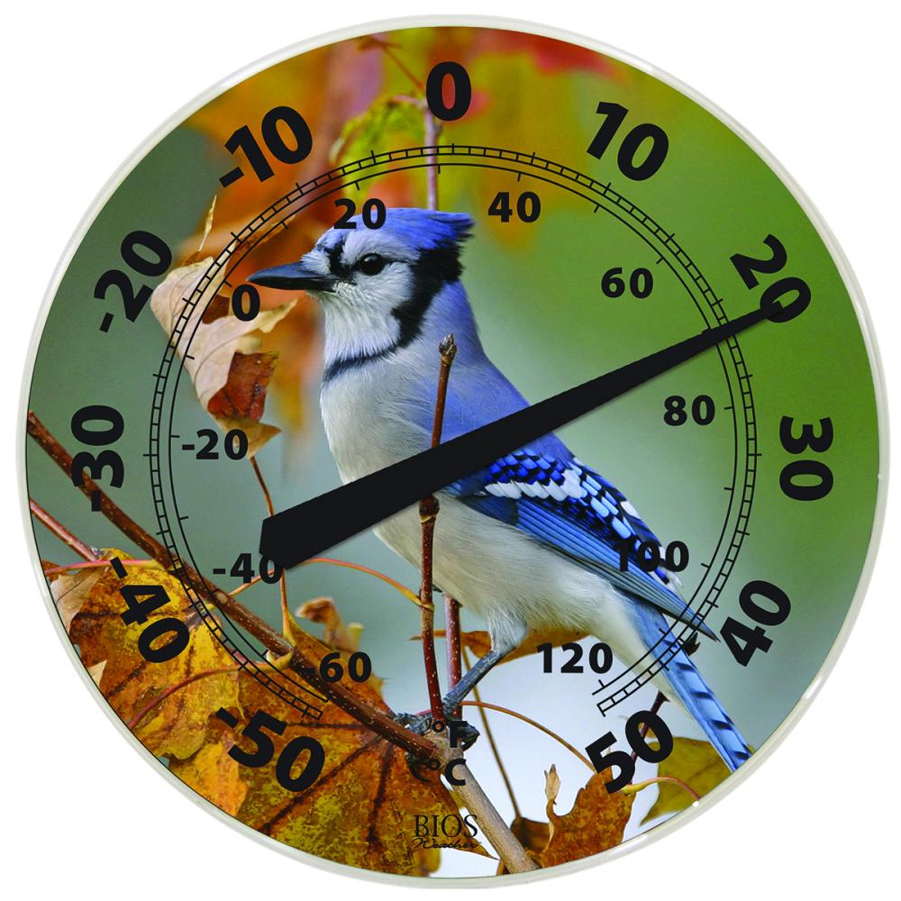 Outdoor Dial Thermometer Blue Jay 12in<span class=' ItemWarning' style='display:block;'>Item is usually in stock, but we&#39;ll be in touch if there&#39;s a problem<br /></span>