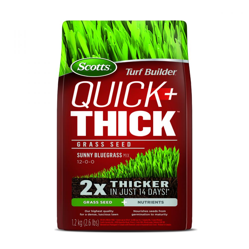 Turf Builder Quick + Thick Sunny Bluegrass Coated Grass Seed 12-0-0  1.2kg<span class=' ItemWarning' style='display:block;'>Item is usually in stock, but we&#39;ll be in touch if there&#39;s a problem<br /></span>