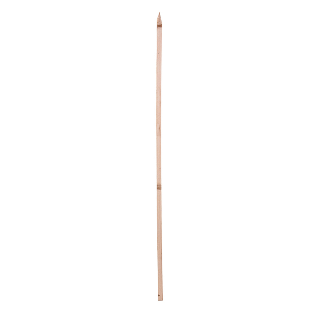 Plant Support Hardwood Stake 72in<span class=' ItemWarning' style='display:block;'>Item is usually in stock, but we&#39;ll be in touch if there&#39;s a problem<br /></span>