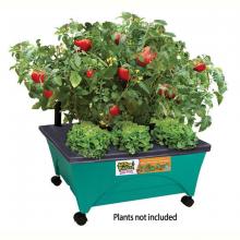 Toolway 184447 - Little Pickers Kids Grow Box