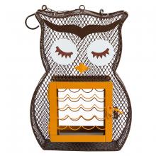 Toolway 88057879 - Wild Bird Feeder Owl-Shaped for Seed and Suet Cake 9in x 2in x 12in