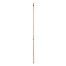 Toolway 88089961 - Plant Support Hardwood Stake 72in