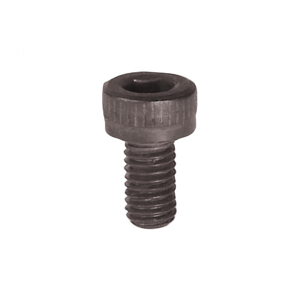 Cap Screw<span class=' ItemWarning' style='display:block;'>Item is usually in stock, but we&#39;ll be in touch if there&#39;s a problem<br /></span>