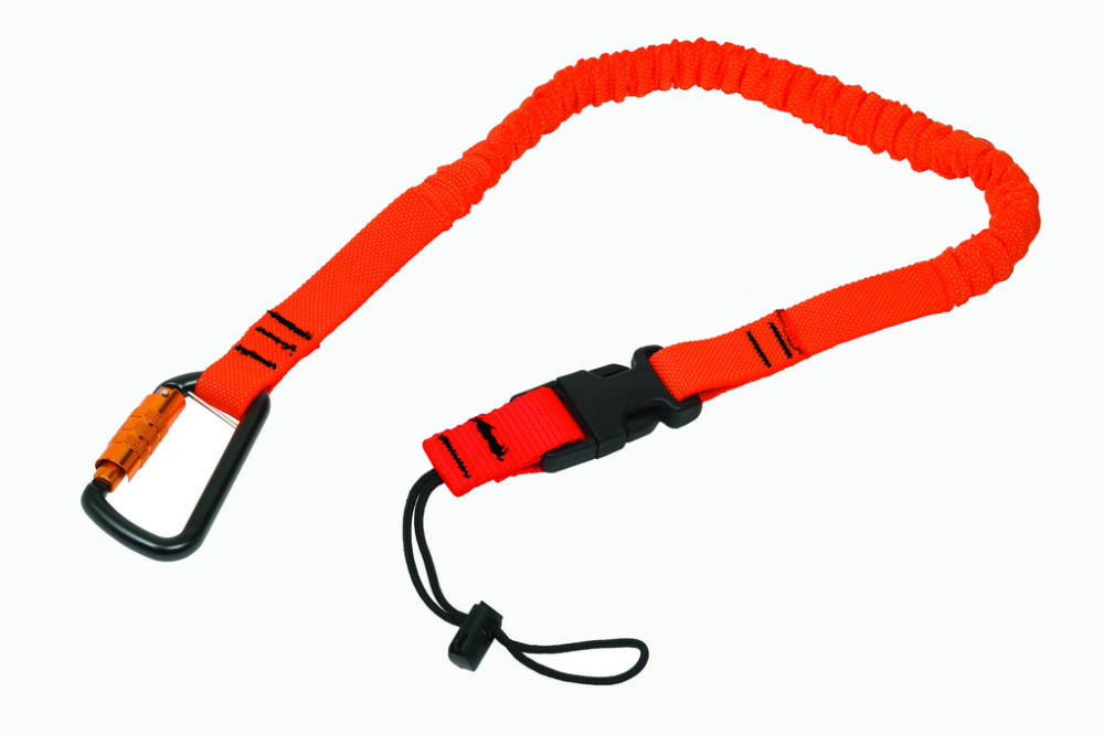 5 lb Lanyard Loop to AL Self Lock Carabiner<span class=' ItemWarning' style='display:block;'>Item is usually in stock, but we&#39;ll be in touch if there&#39;s a problem<br /></span>