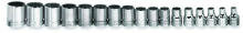 Williams JHWMSB-17RC - 17 pc 3/8" Drive 12-Point Metric Shallow Set Socket on Rail and Clips