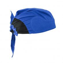 Radians RCS305 - Arctic Radwear® Head Shade - Blue