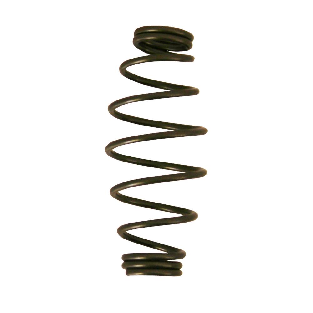 Spare Barrel Spring for 95 31 250/280<span class=' ItemWarning' style='display:block;'>Item is usually in stock, but we&#39;ll be in touch if there&#39;s a problem<br /></span>