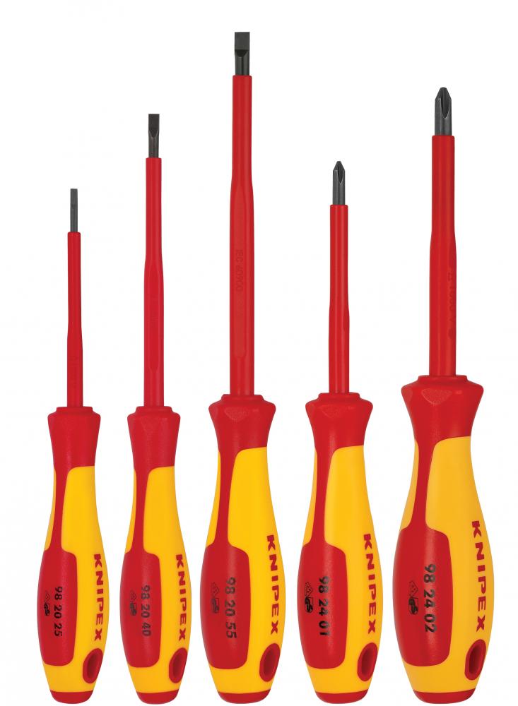 5 Pc Screwdriver Set-1000V Insulated<span class=' ItemWarning' style='display:block;'>Item is usually in stock, but we&#39;ll be in touch if there&#39;s a problem<br /></span>